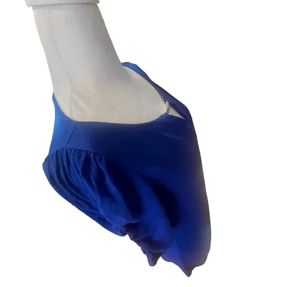 WHBM. Royal Blue w/Silver Accent. Small - Picture 6 of 12